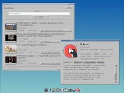 The following is displayed: search results and Help window at Tiny Core Linux.