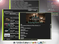 The following is displayed: detailed metadata window for video 'Pillars of Eternity: Relaxin Mix...', a soundtrack video.